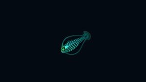 SpinefishNight.jpg