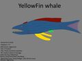YellowFin Whale Concept "balea Albacora" (This is the Only Aggressive Herbivore)