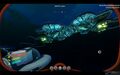 Reefback Lovin'