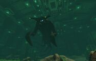 The Sea Emperor Leviathan swimming in the Emperor Aquarium.