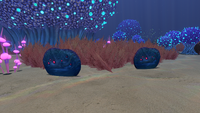 Some Blue Table Coral