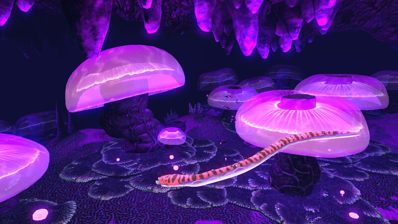 File:Crabsnake1.jpg
