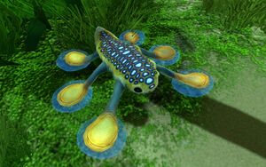 Hoverfish-01.jpg