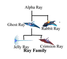 Ray Family.png