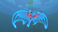Underside + front of the Ghostray