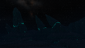 Overview of the biome during the night