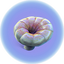 Deep Shroom.png