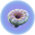Deep Shroom.png