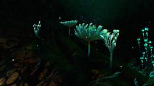 PaddleFern patch.png