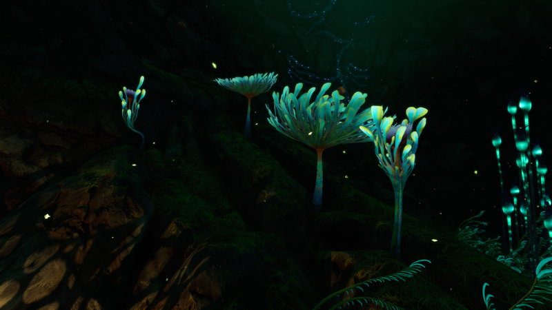 File:PaddleFern patch.png