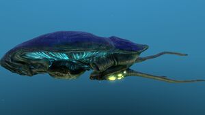 Reefback 10.jpg