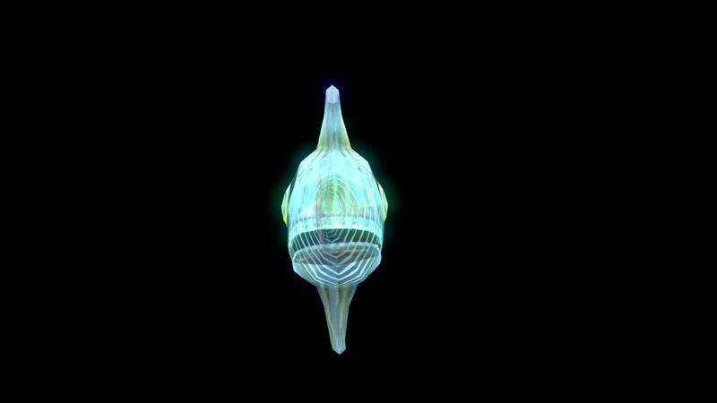 File:SpinefishC (BZ).jpg