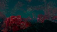 Biome Overview