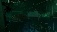 An aquarium inside the Disease Research Facility containing the skeleton of an extinct life form