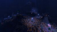 A cluster of Membrain Trees in the Grand Reef