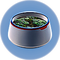 Planter Pot3.png