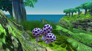 Purple Rattle (5).jpg