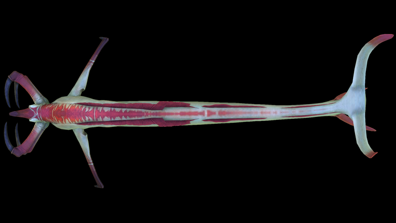 File:Reaper Leviathan Dorsal.png