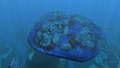 Thumbnail for version as of 17:00, 14 October 2016