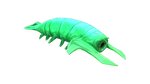 Rockgrub Fauna.png