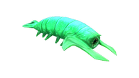 Rockgrub Fauna.png