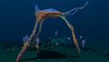 Thumbnail for version as of 22:52, 21 May 2016