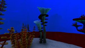 Spiral Plant 1.jpg