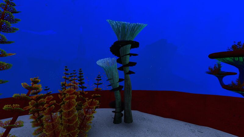 File:Spiral Plant 1.jpg