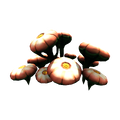 Thumbnail for version as of 08:45, 7 August 2021