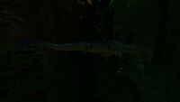 A Stalker at night, displaying no bioluminescence