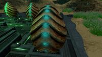 One of the Sea Emperor Leviathan Eggs