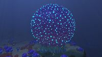 A Giant Bulb Bush