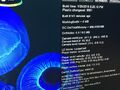 Thumbnail for version as of 17:06, 6 August 2021