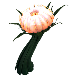 Grand Cotton Anemone Flora.png