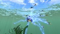 Gravsphere holding Hoverfish