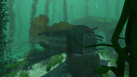 A wreck in the Kelp Forest