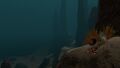 Sparse Reef pilars