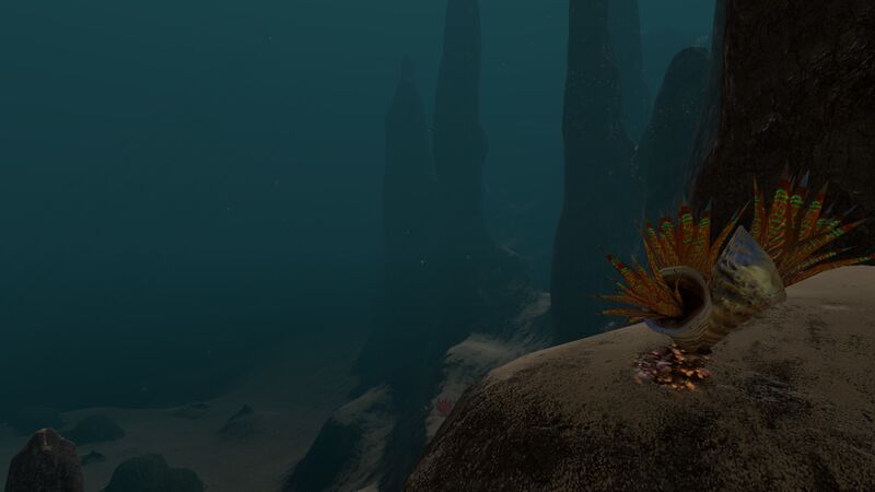 File:Sparse Reef (13).jpg