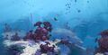 Shallow Twisty Bridges, featuring multiple Coral Bridges.
