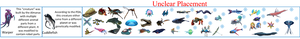 Unclear Placement section.png