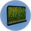 Wall Planter.png