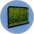 Wall Planter.png