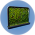 Wall Planter.png