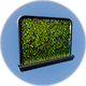 Wall Planter.png