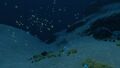 Thumbnail for version as of 15:59, 22 January 2017