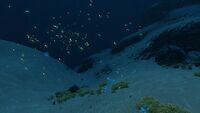 Next to the border with the Second Blood Kelp Zone