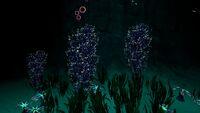 Three cave bushes at night.