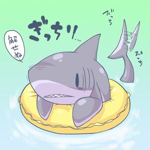 Cute shark.jpg