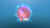 Floater 10.jpg
