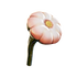 Lily Flower Icon.png